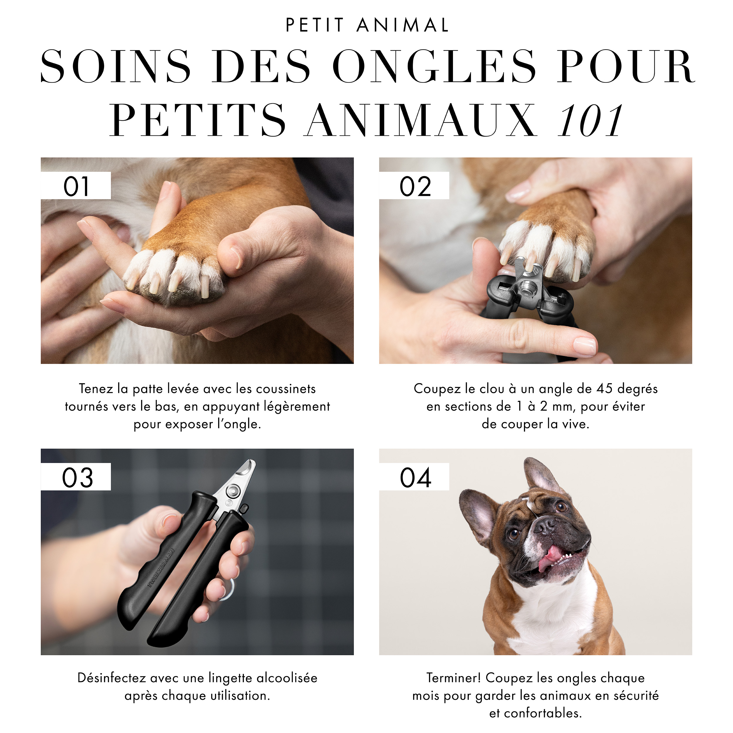 Soins des ongles pour petits animaux 101. 1) Tenir la patte levée avec les coussinets tournés vers le bas, en appuyant légèrement pour exposer l’ongle. 2) Couper le clou à un angle de 45 degrés en sections de 1 à 2 mm, pour éviter de couper la vive. 3) Désinfectez avec une lingette alcoolisée après chaque utilisation. 4) Terminer! Coupez les ongles chaque mois pour garder les animaux en sécurité et confortables.