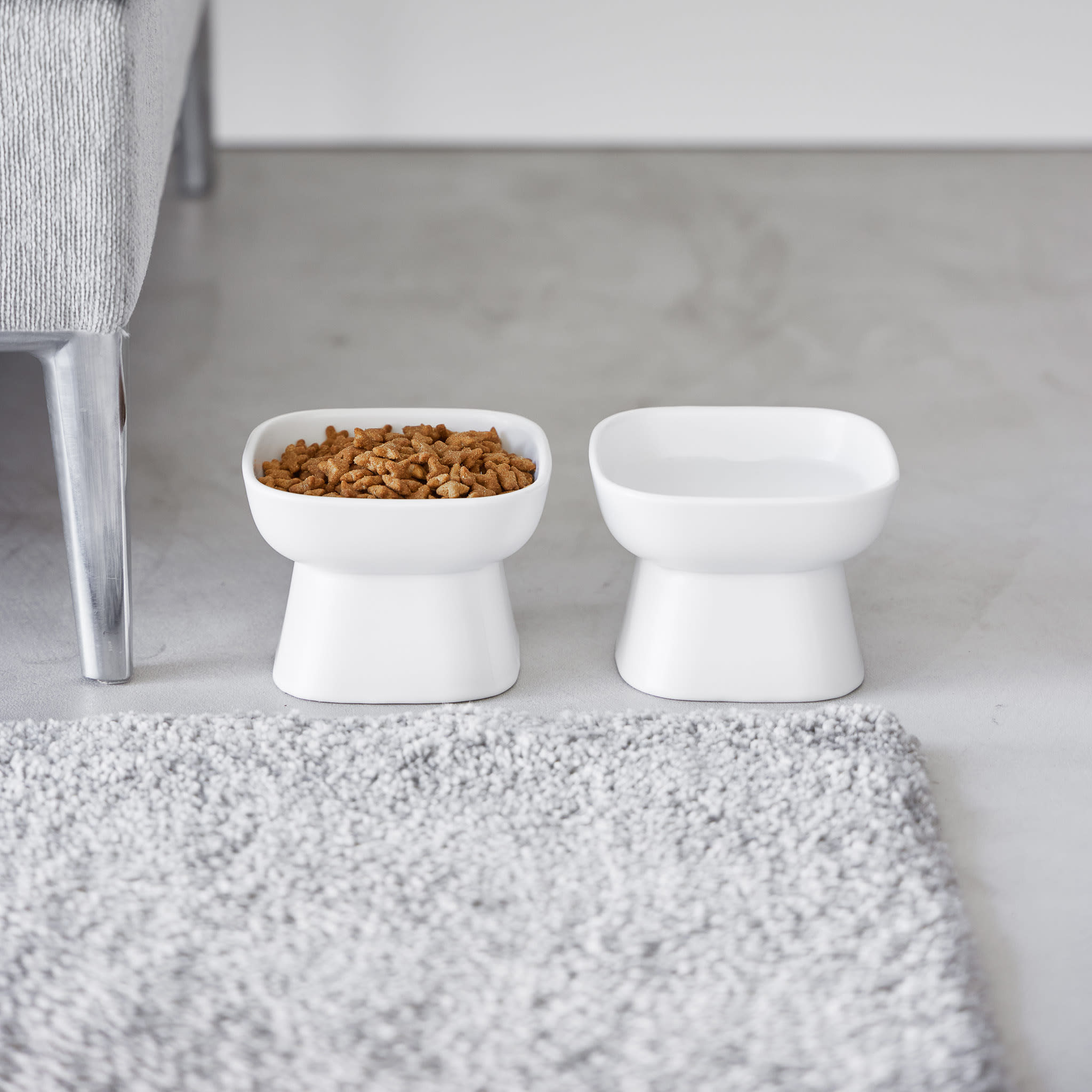 Ceramic Pet Food Bowl : Versatile