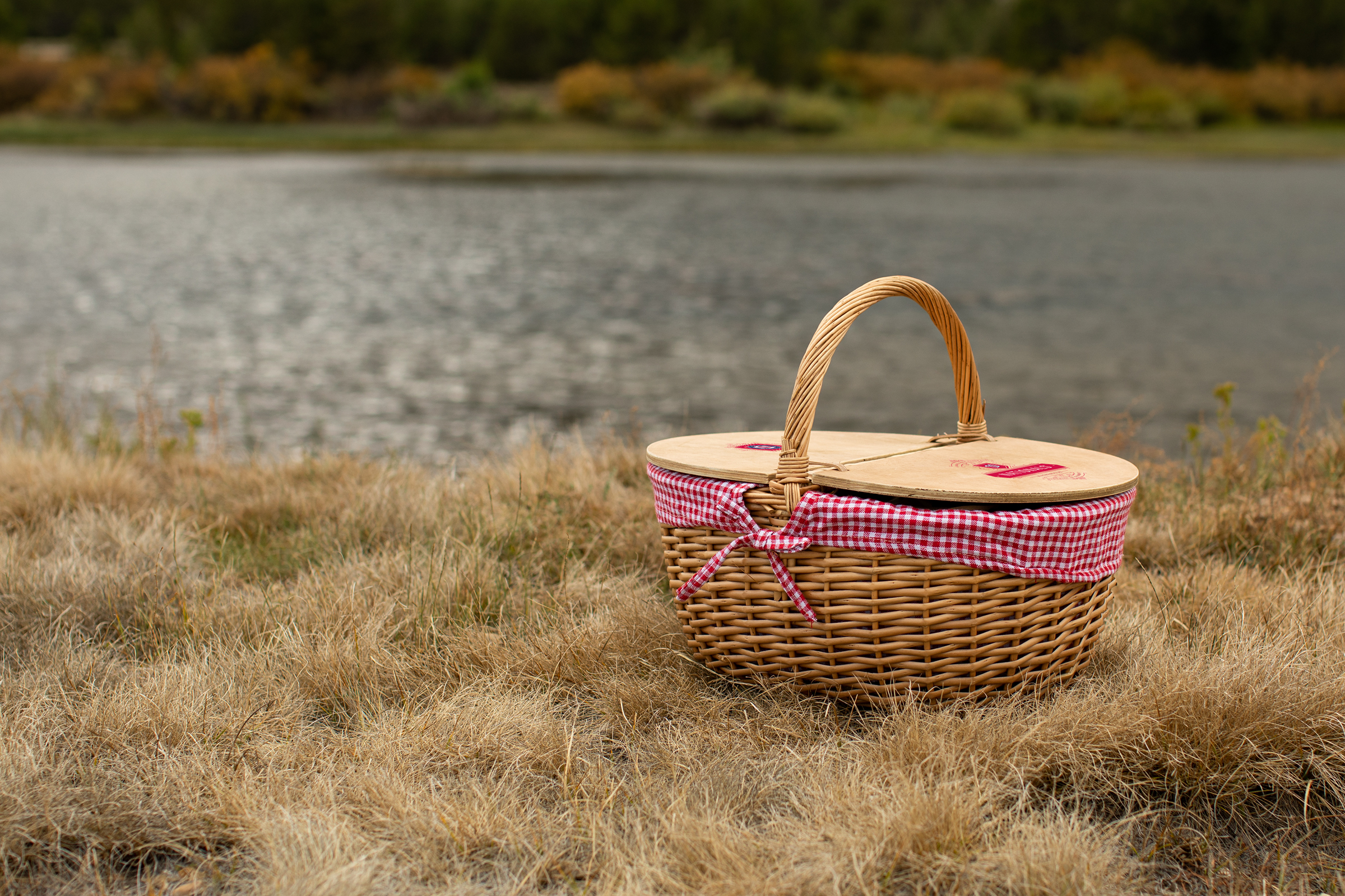 Washington Nationals - Country Picnic Basket