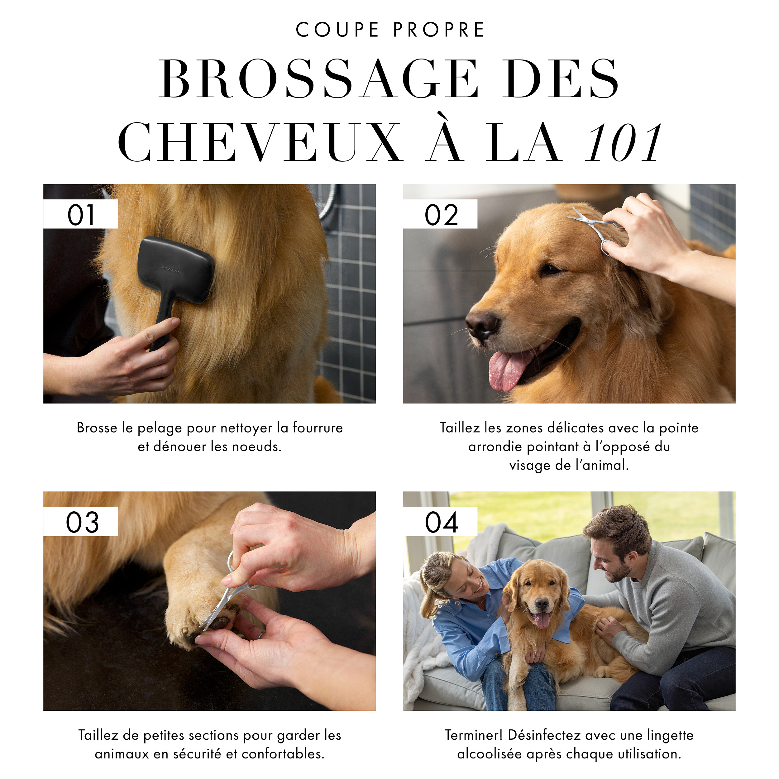Toilettage des cheveux bien coupés 101 : 1) Brossez le pelage pour nettoyer la fourrure et dénouer les nœuds. 2) Tailler les zones délicates avec la pointe arrondie pointant à l'opposé du visage de l'animal. 3) Tailler de petites sections pour garder l’animal sécuritaire et confortable. 4) Terminer! Désinfectez avec une lingette alcoolisée après chaque utilisation.