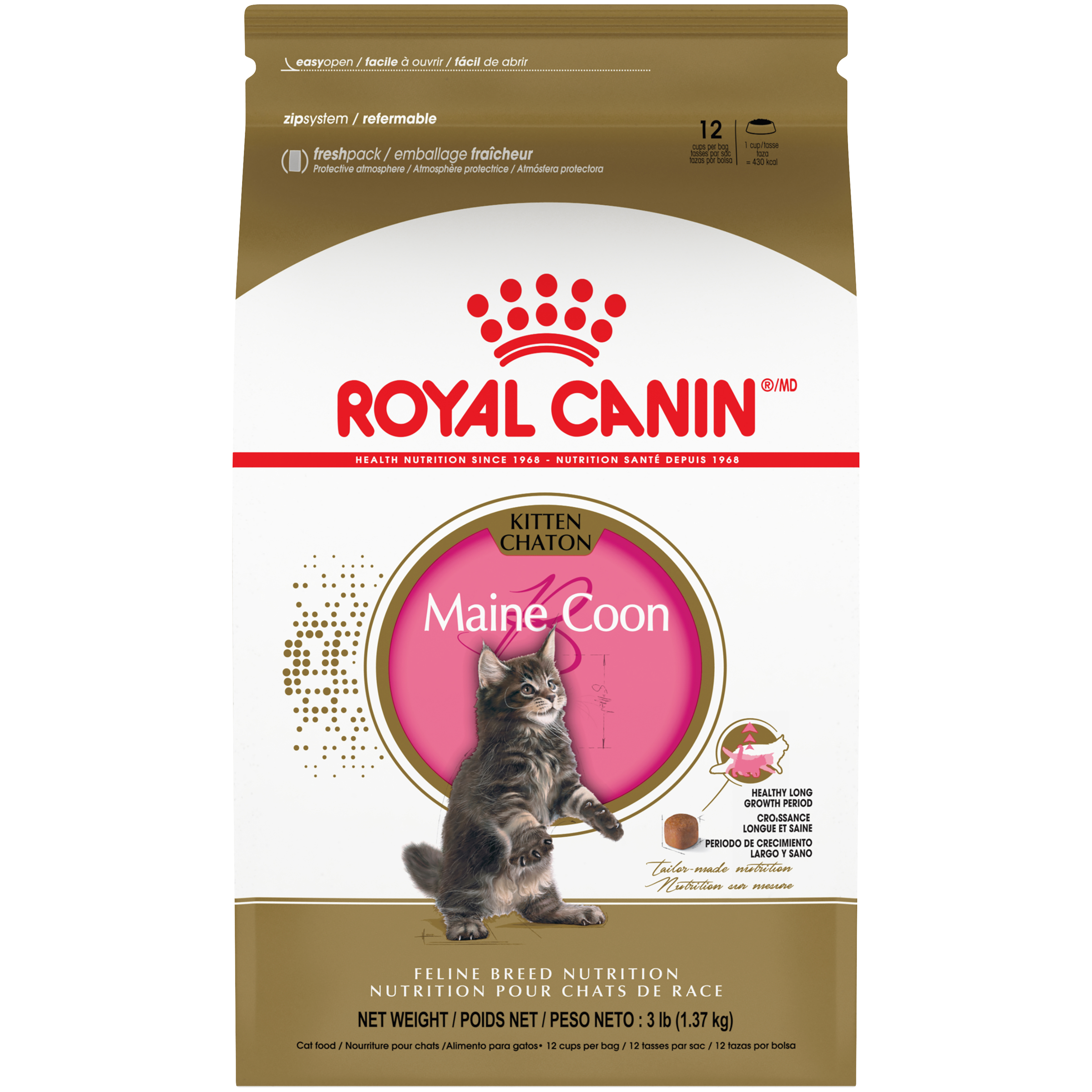 Maine Coon Kitten Dry Cat Food Royal Canin