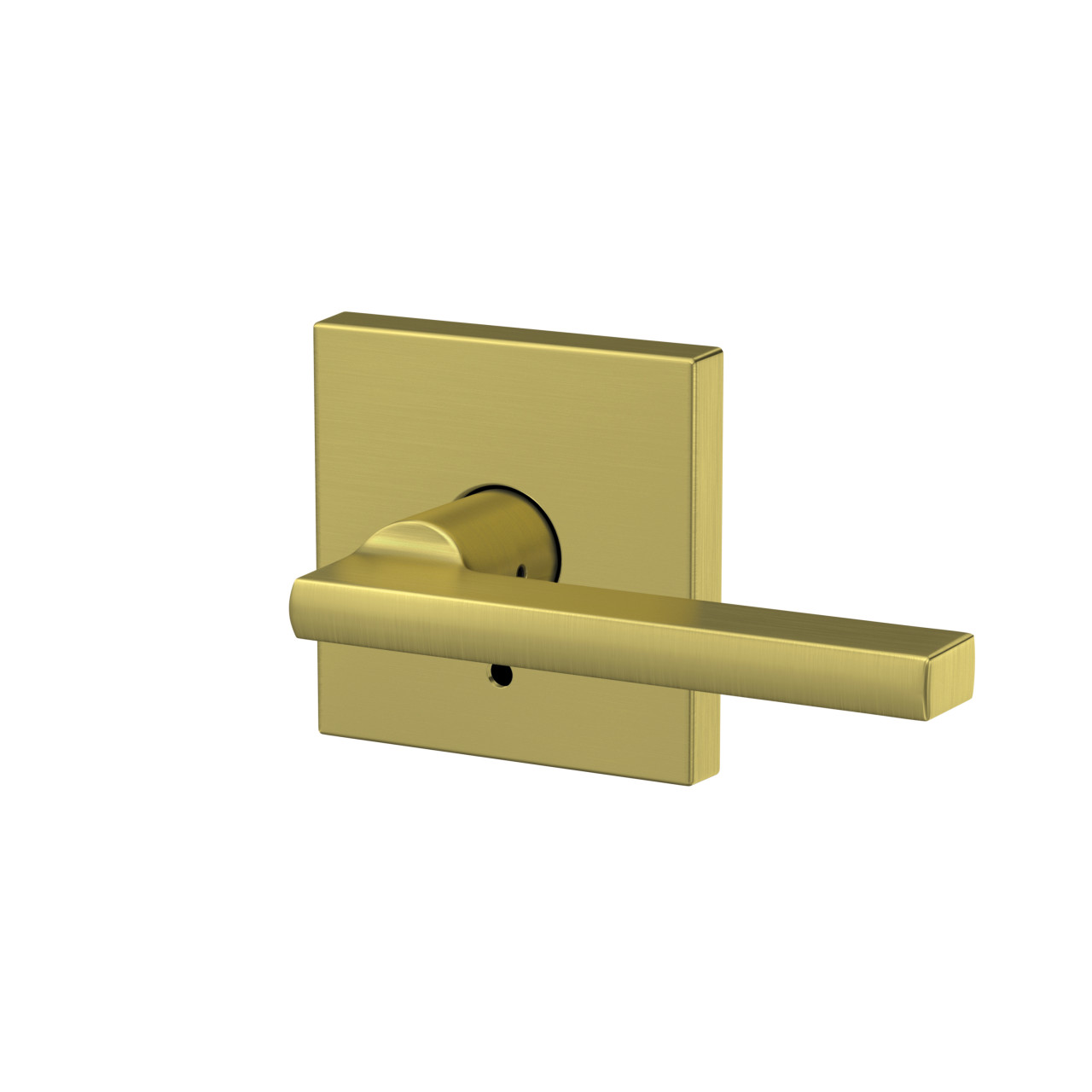 Custom Latitude Non-Turning Lever