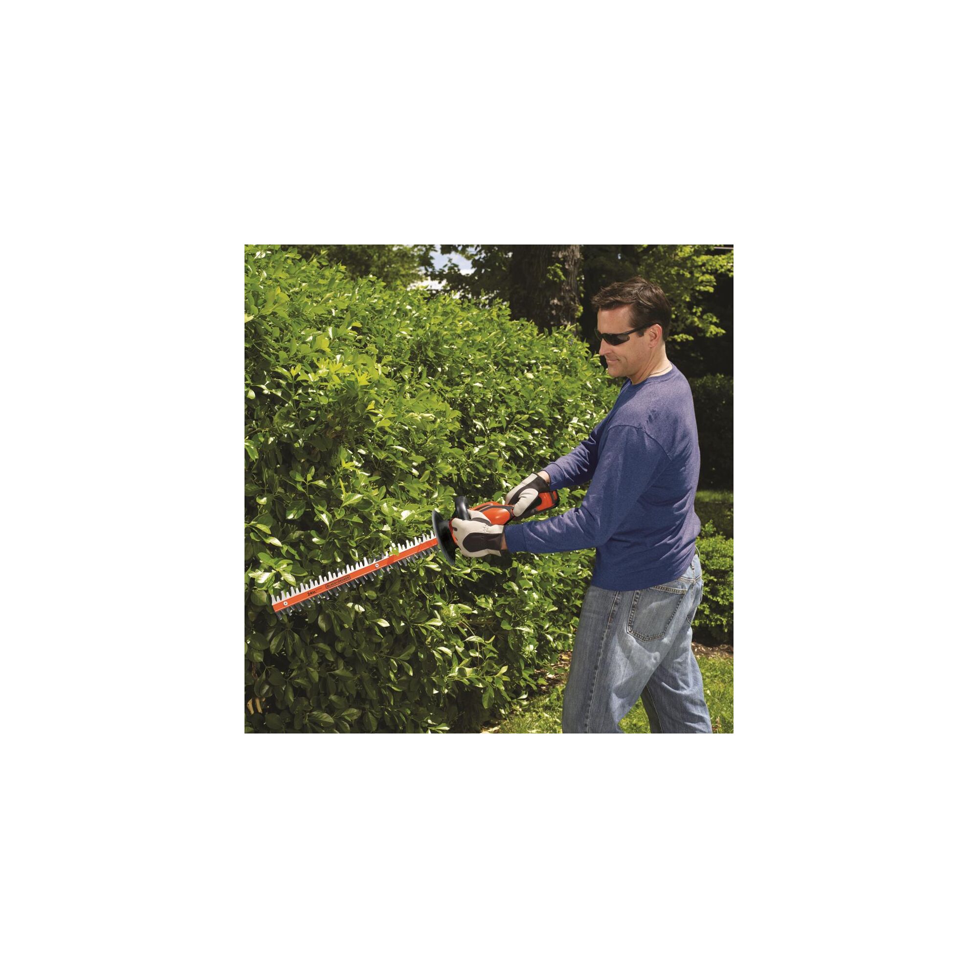 Man using 40 Volt Max 24 Inch Hedge Trimmer on side of a bush.