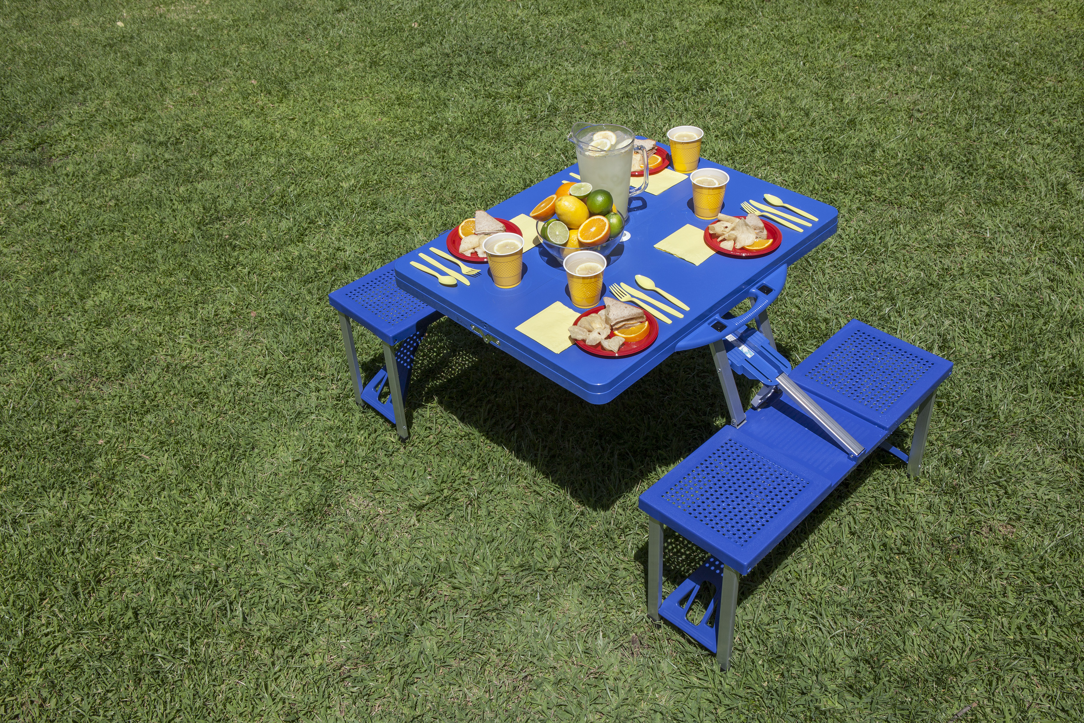 Hockey Rink - Vancouver Canucks - Picnic Table Portable Folding Table with Seats