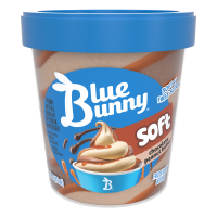 Soft Chocolate Peanut Butter Frozen Dessert, 16 fl oz Pint