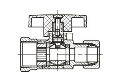 215504.jpg
