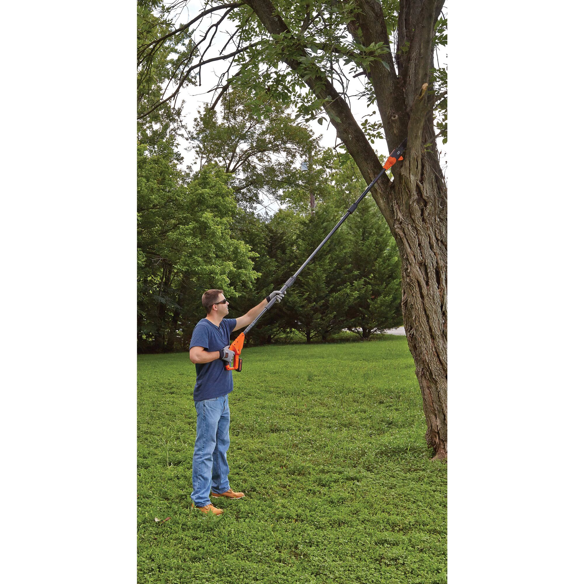 Lithium pole pruning saw being used by a person to cut high branch of tree.