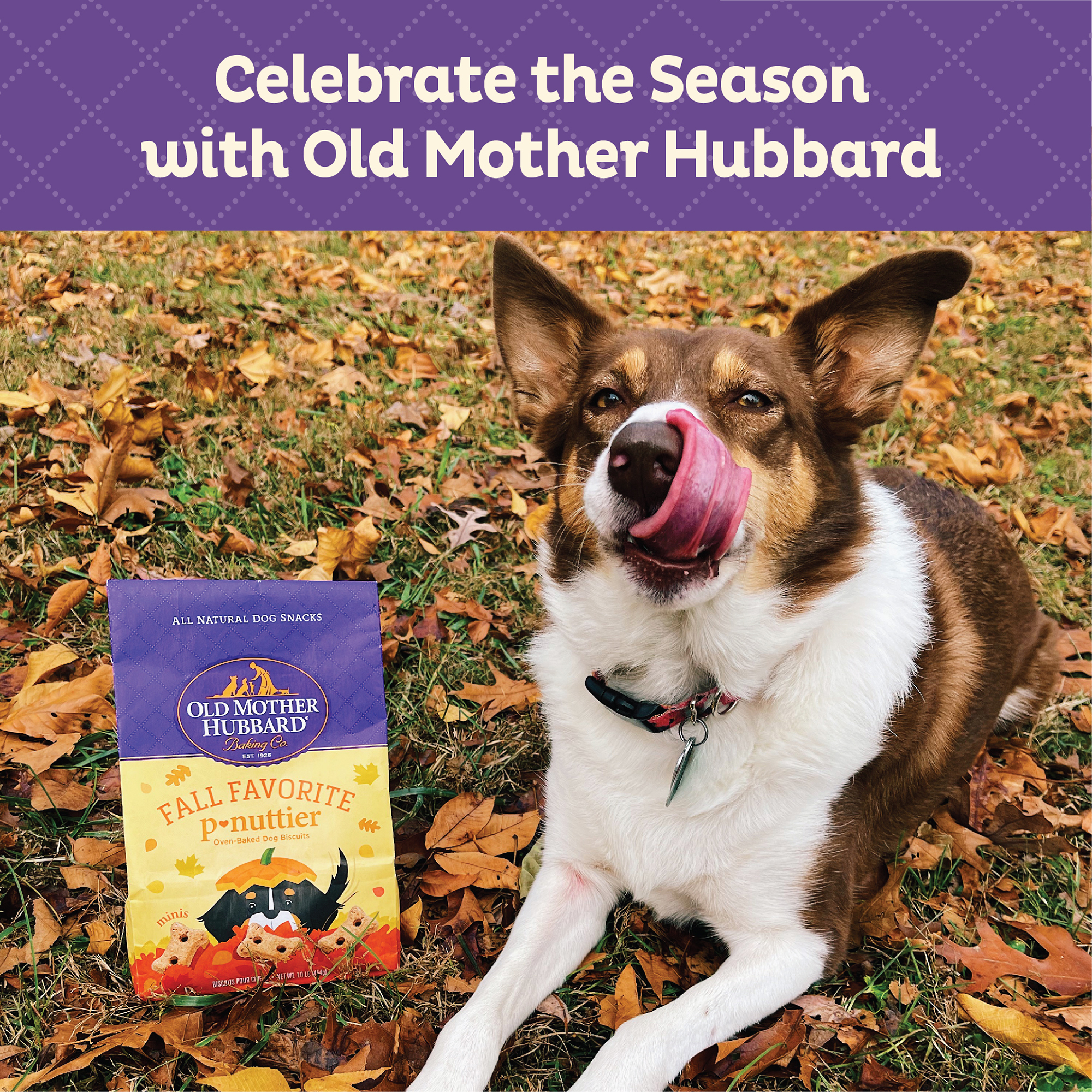 Old Mother Hubbard Seasonal Fall Favorite P-Nuttier