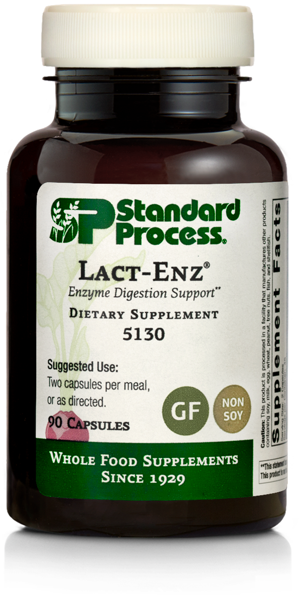 Standard Process Lact-ENZ - Whole Food Immune Support, Digestion and Digestive Health with Bifidobacterium Longum, Cellulase, Protease, Amylase, Lipase, Maltodextrin and More - 150 Capsules