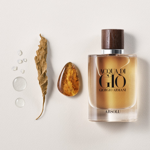 acqua di gio absolu edp