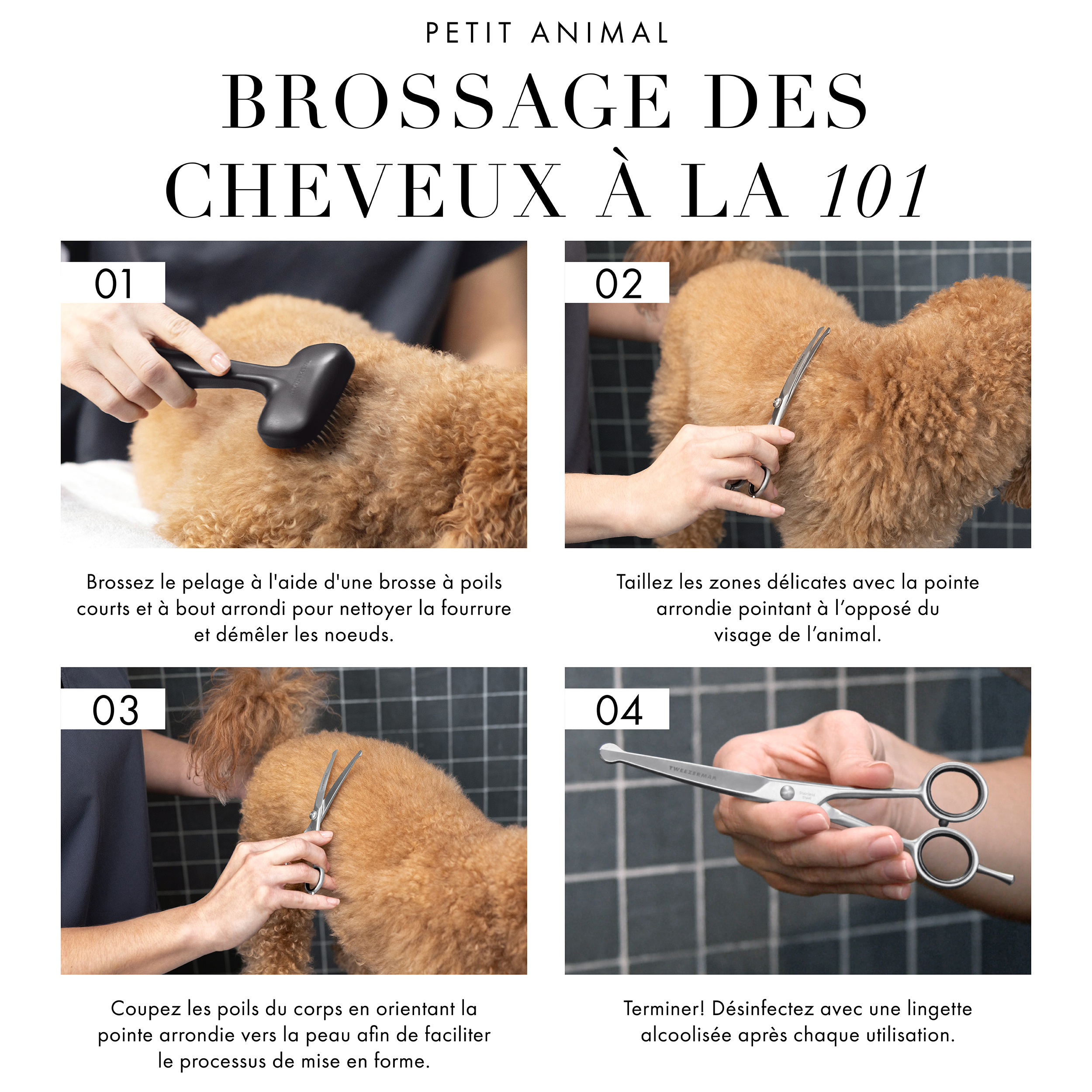 Trouvez le tableau des tailles d’outils parfait. Le tableau montre les petits animaux de moins de 29 lb. Il est recommandé d’utiliser les cisailles de 7 pouces.  Les gros animaux de plus de 30 lb sont recommandés d’utiliser les ciseaux de 7 pouces pour le visage et les pattes ainsi que les ciseaux de 9 pouces.
