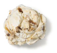 Premium Praline Pecan Ice Cream, 384 fl oz