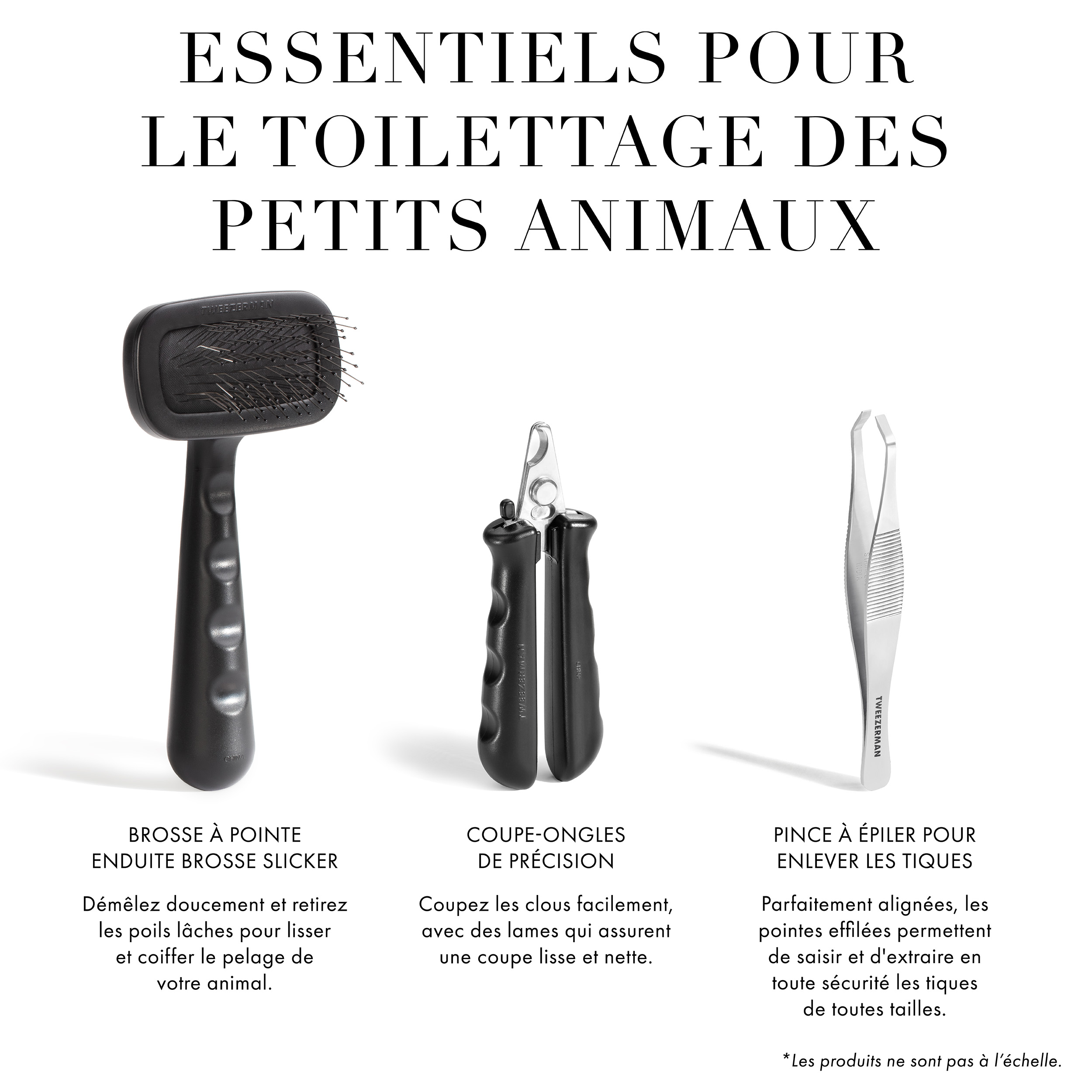 Essentiels pour le toilettage des petits animaux : Étape 1 Brosse de bain 2-en-1 pour shampooing et distribution : Le design à une main permet de nettoyer et de laver en profondeur la saleté du pelage de votre animal. Étape 2 Coupe-ongles de précision : Coupez les ongles facilement, avec des lames qui assurent une coupe lisse et nette. Étape 3 Brosse Slicker à pointe enduite : Démêlez doucement et retirez les poils lâches pour lisser et coiffer le pelage de votre animal. *Les produits ne sont pas à l’échelle.