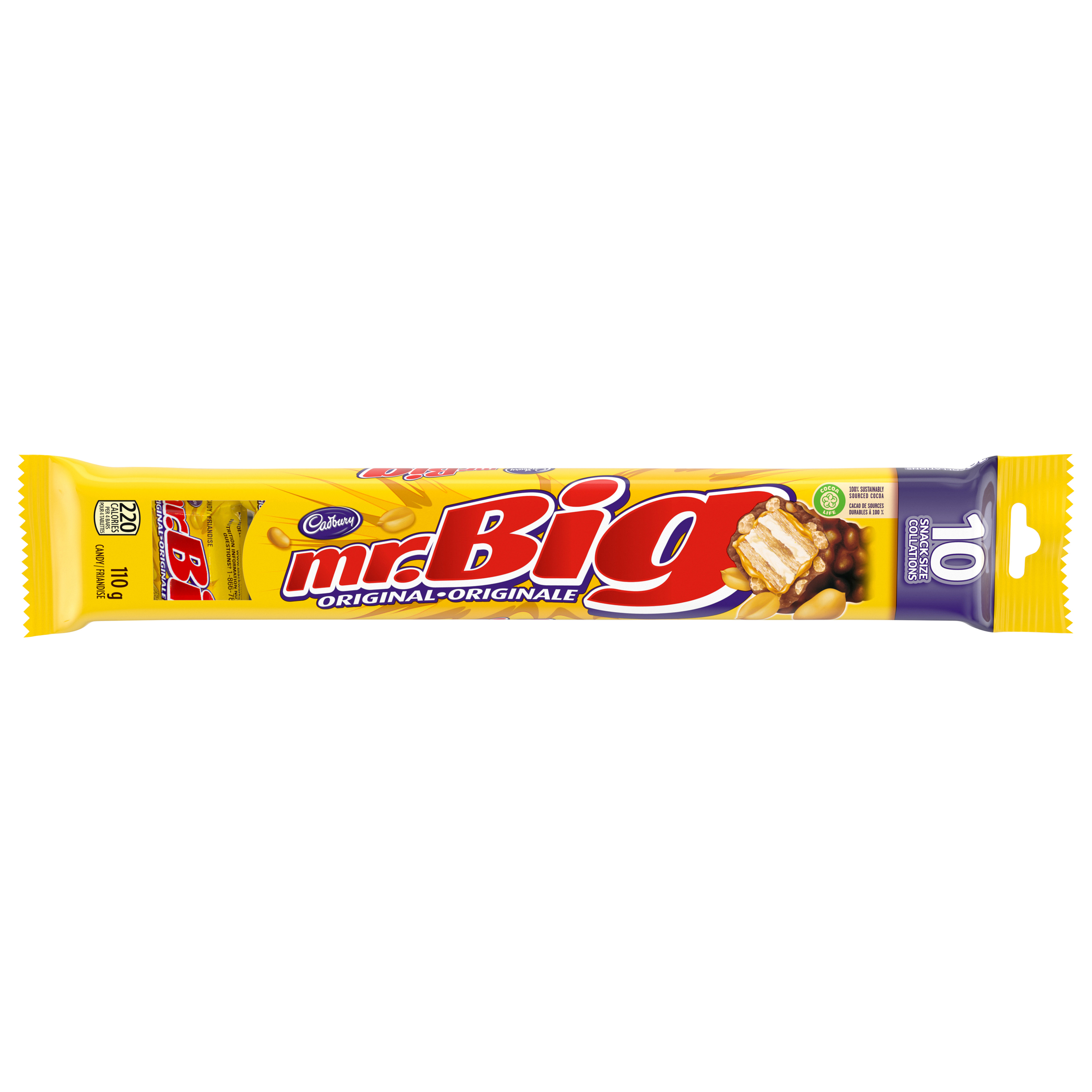 Mr Big Original Chocolate Bar-Minis 10 Count