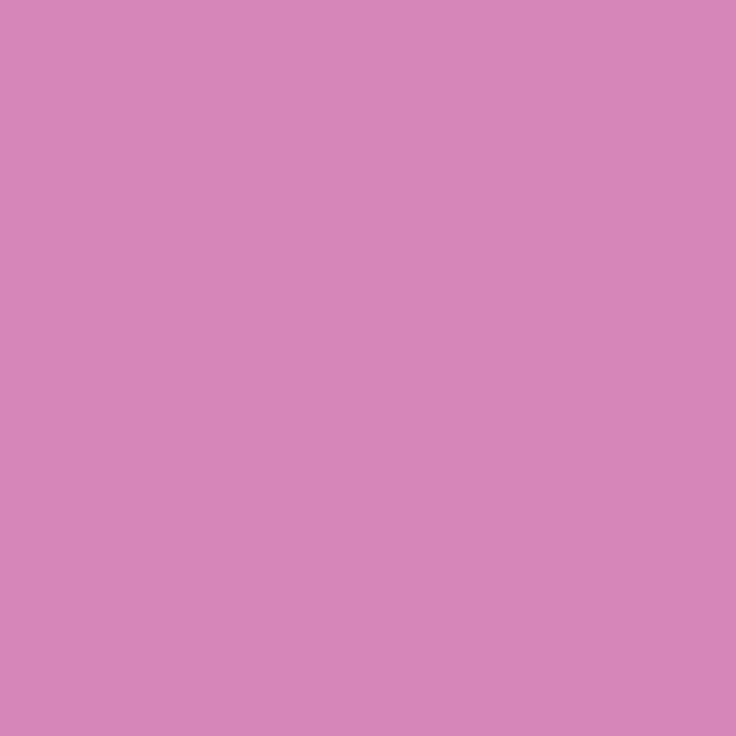 BELLA ROSA(BLRS)