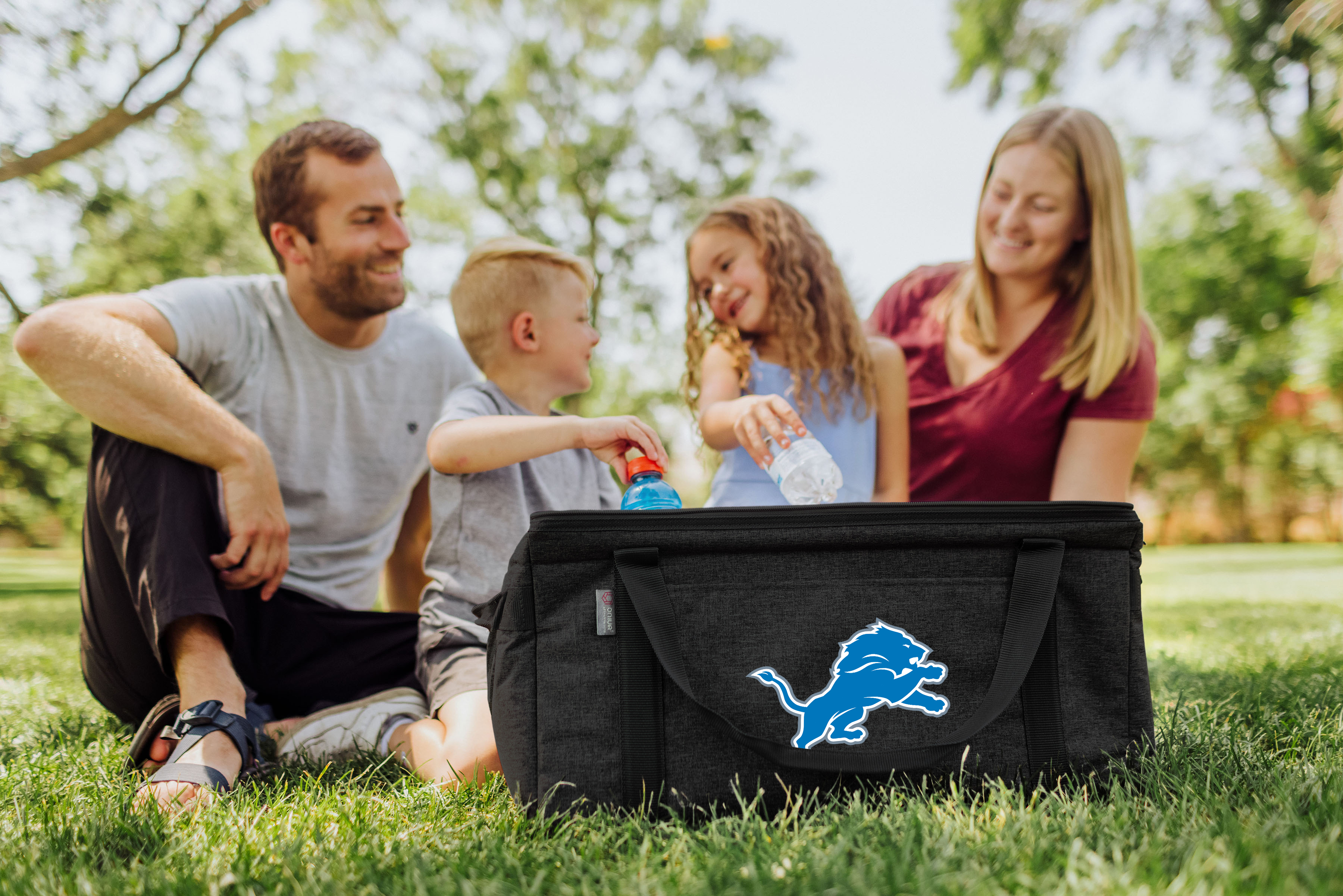 Detroit Lions - 64 Can Collapsible Cooler