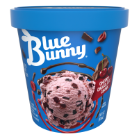 Cherry Chocolate Chunk Frozen Dessert, 14 fl oz