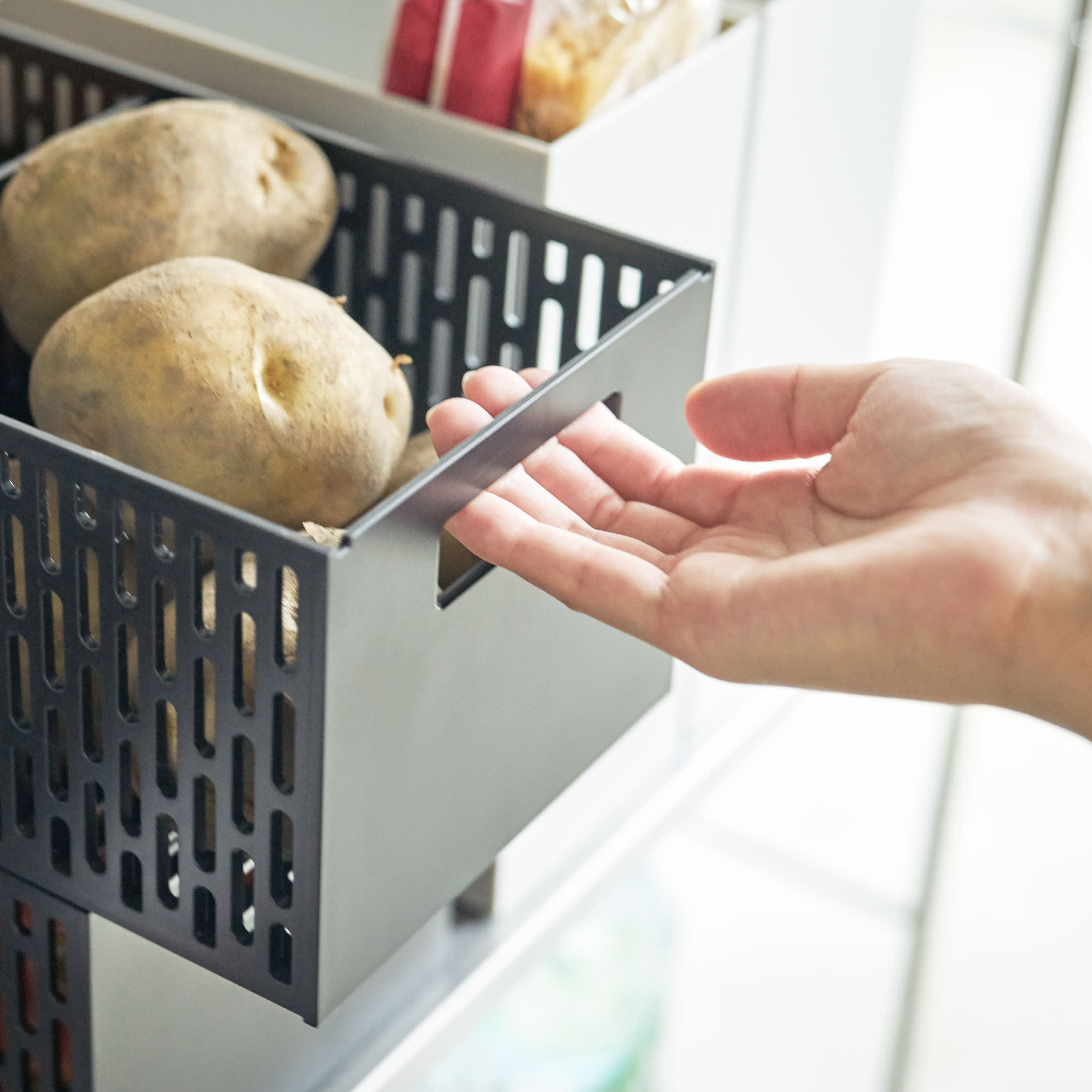Vegetable Basket : Integrated Handles
