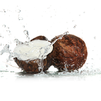 Coconut Water