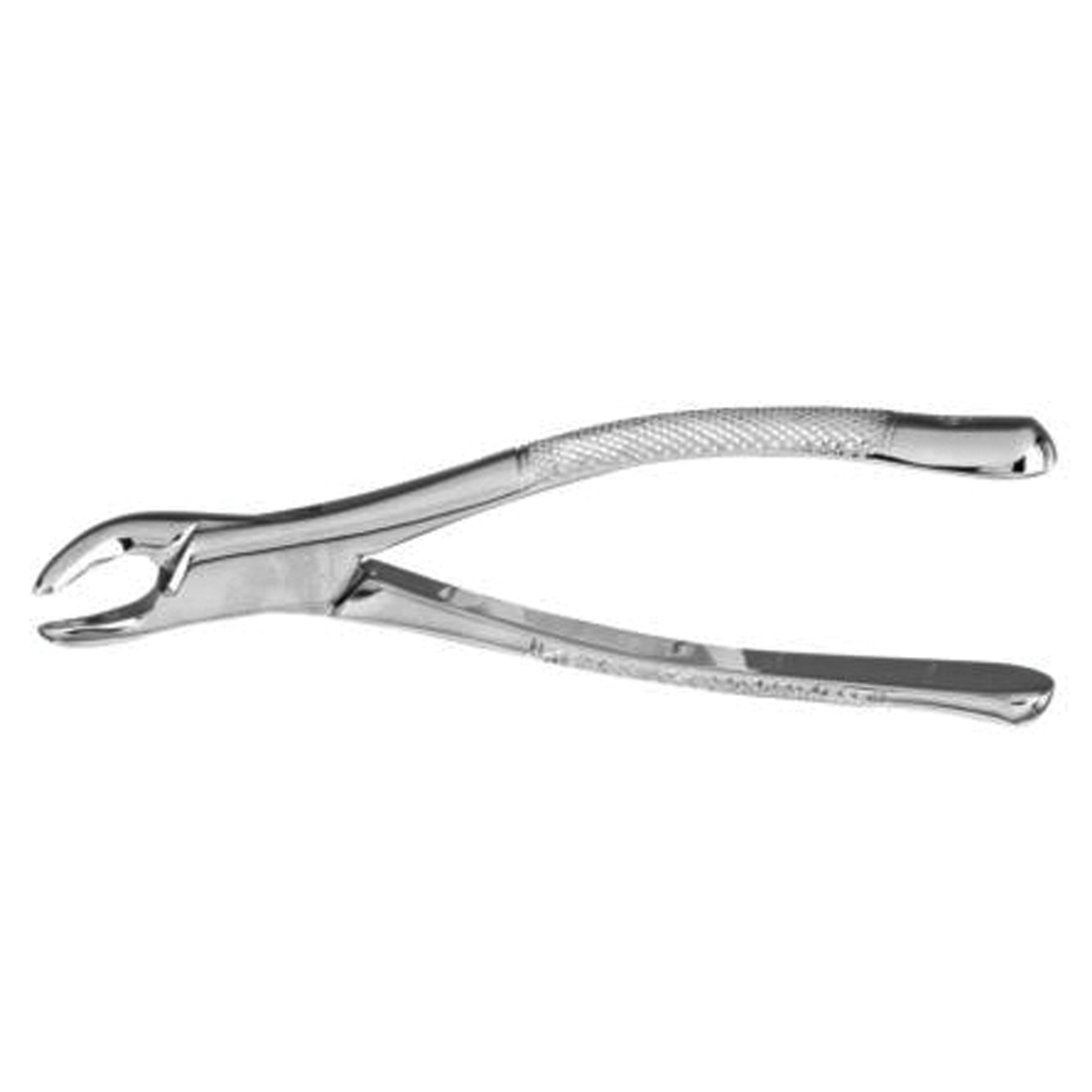 Extracting Forceps #151