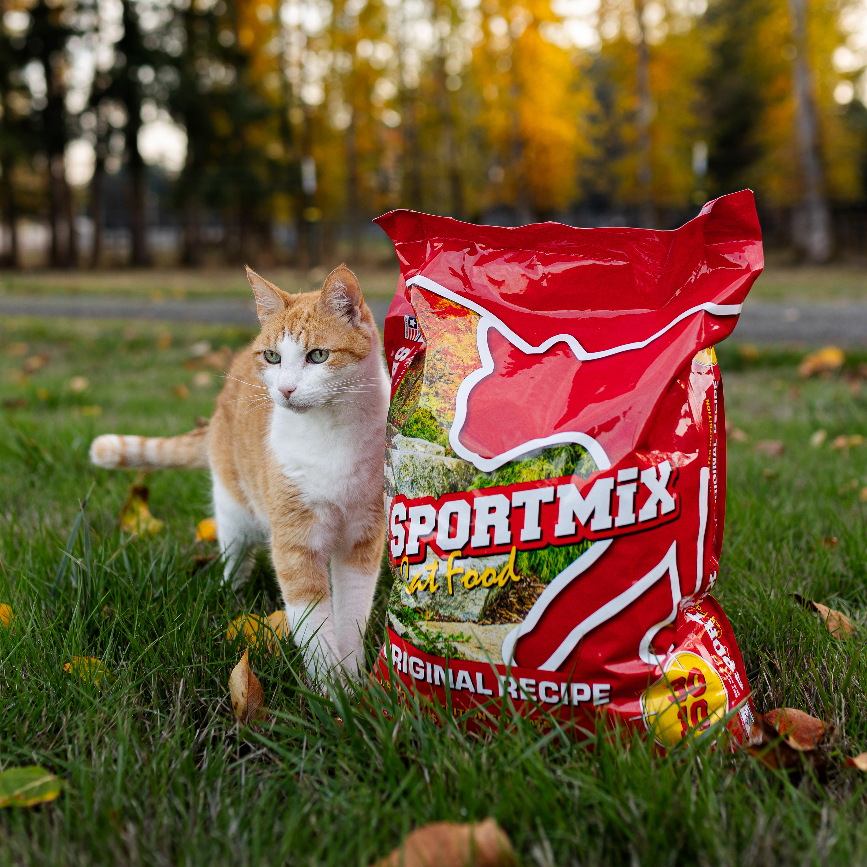 Photo of Product Bag