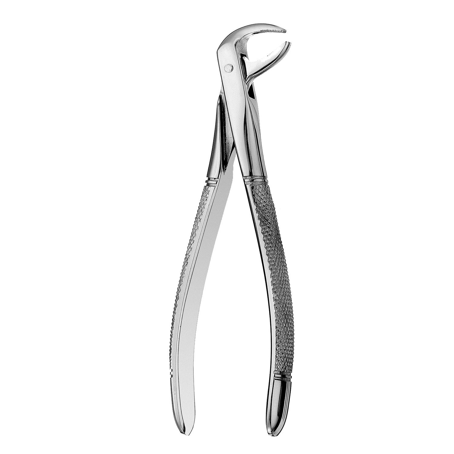 Forcep Lower Root #FX74 6" 15cm Serrated
