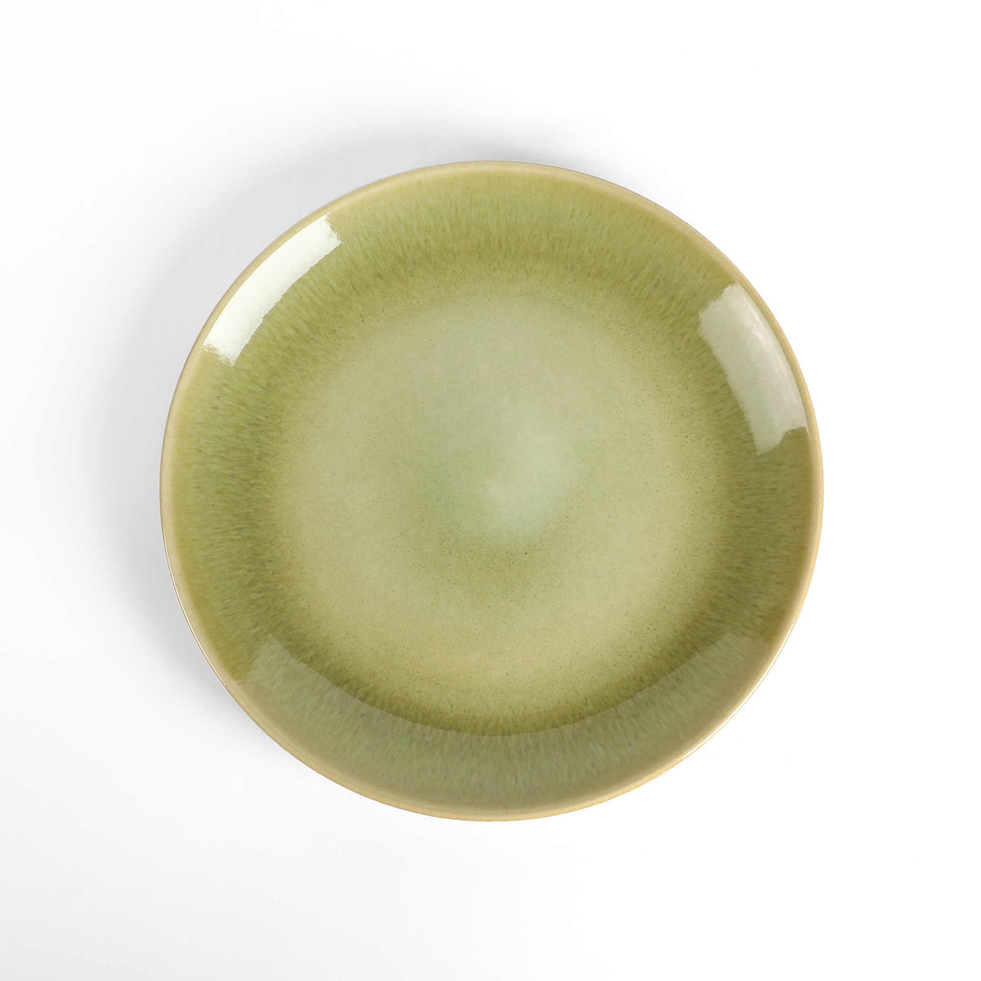 10.7 inches Dinner Plates