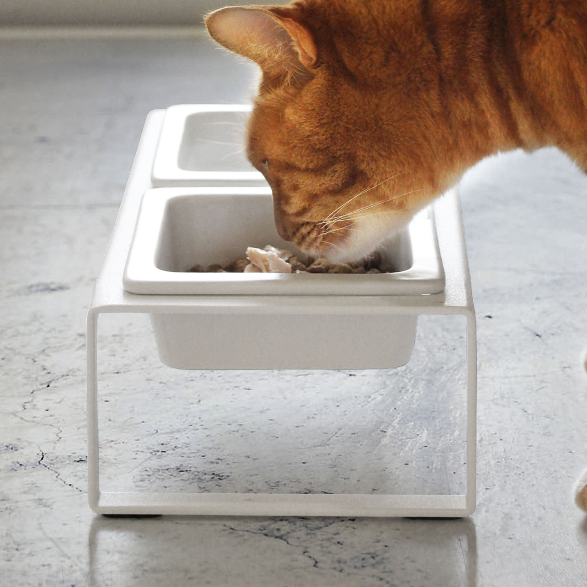 Pet Food Bowls with Stand : Practical 2-Piece Set