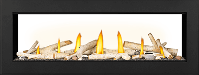 Vector™ 50 See Through