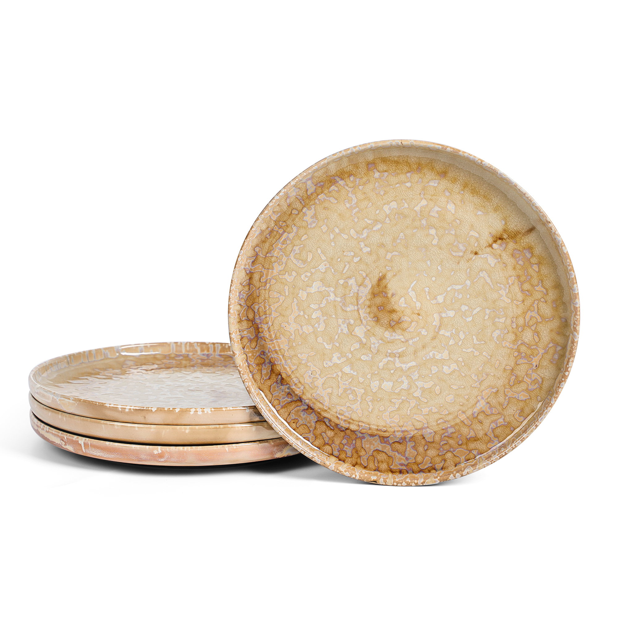 9.6 inches Dinner Plate