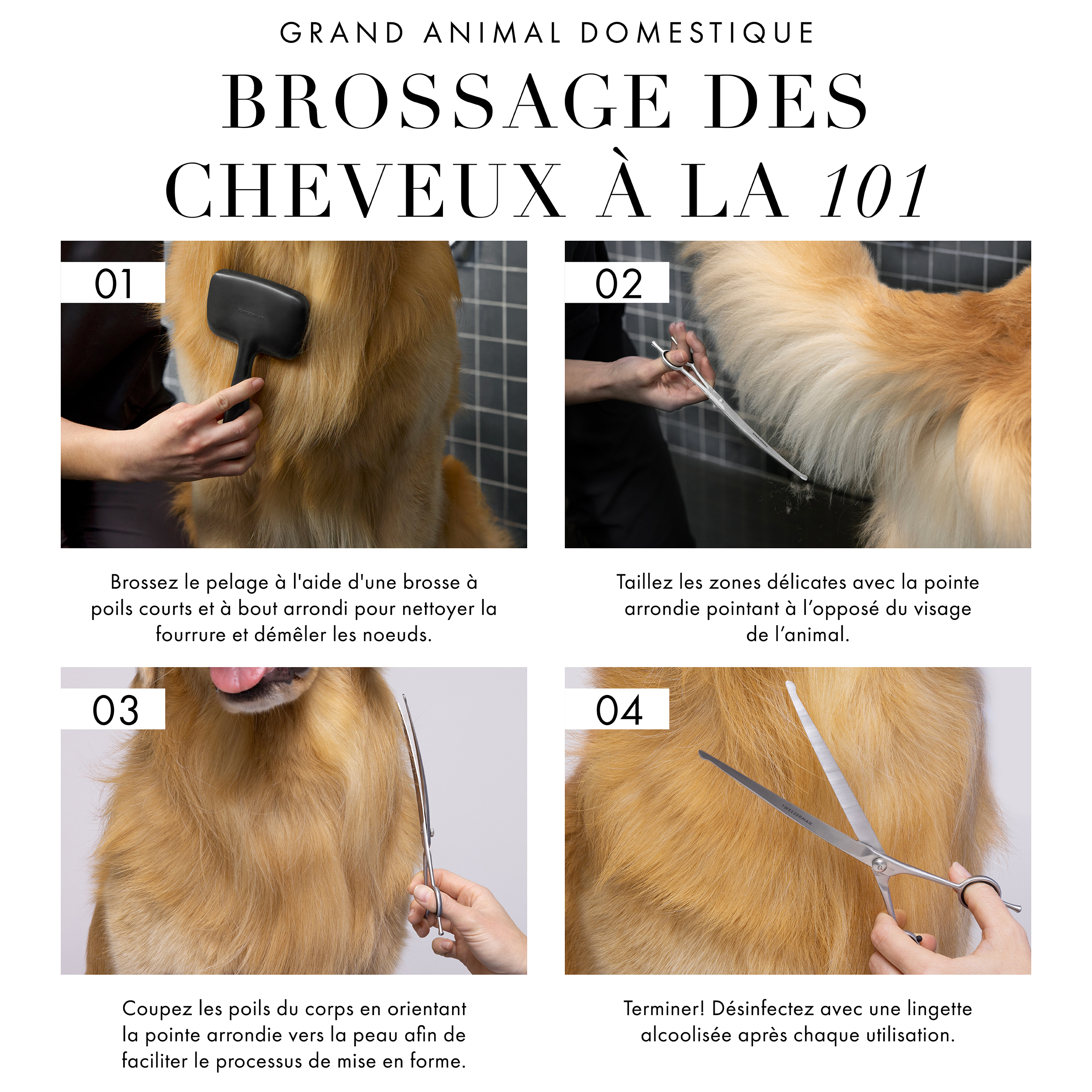 Large Pet Hair Grooming 101: 1) Brush coat to clean fur and free any knots. 2) Trim delicate areas with rounded tip pointing away from pet's face. 3) Trim body fur with rounded tip facing toward the skin to help guide the shaping process. 4) Finish! Sanitize with alcohol wipe after each use.