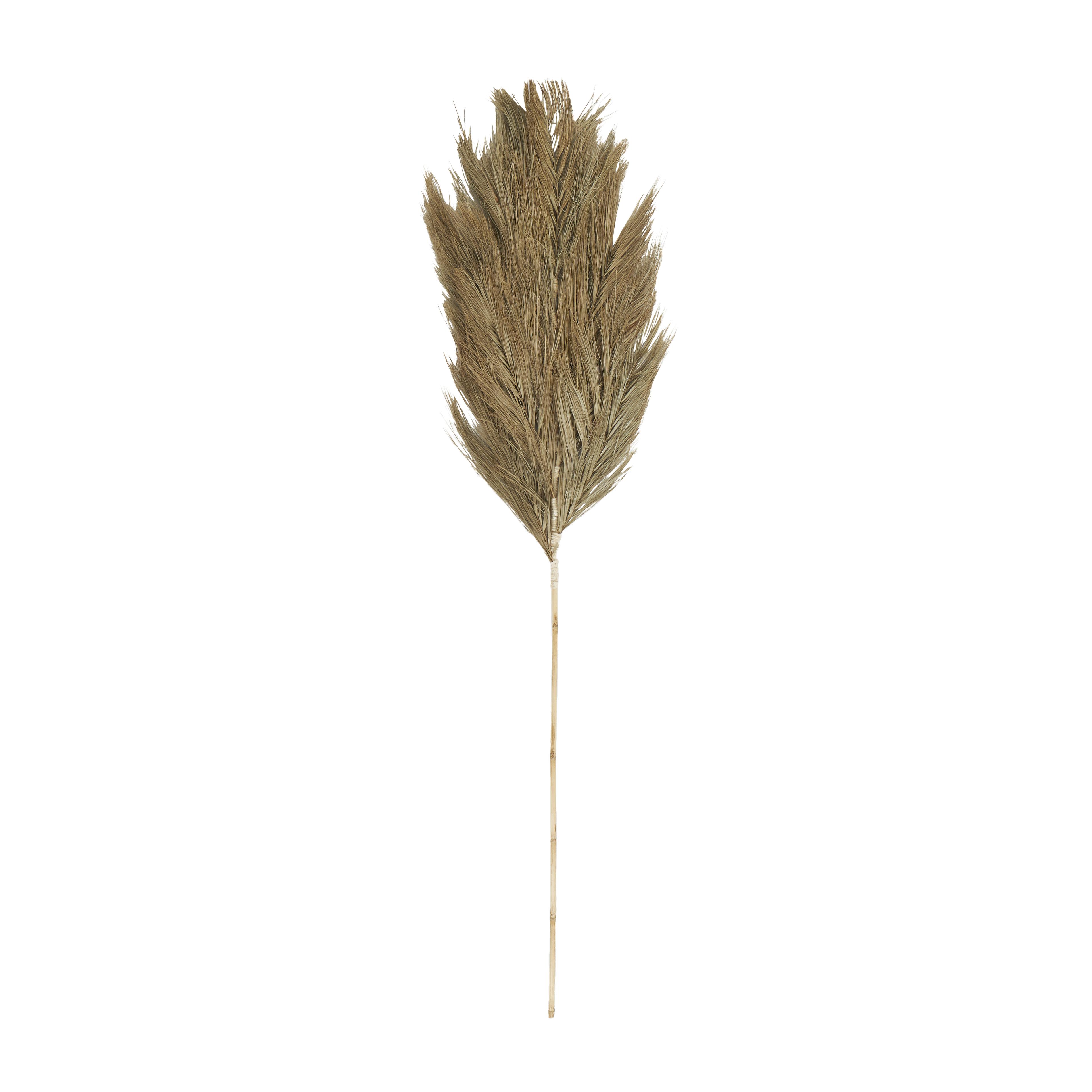Brown Dried Plant Palm Leaf Tall Home Decor Natural Foliage with Grass, 13" x 1" x 59"