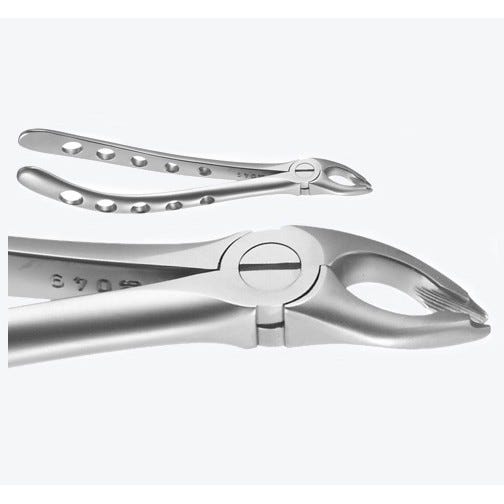 X-TRAC® Atraumatic Extraction Forceps, Upper Universal with Notched Beaks