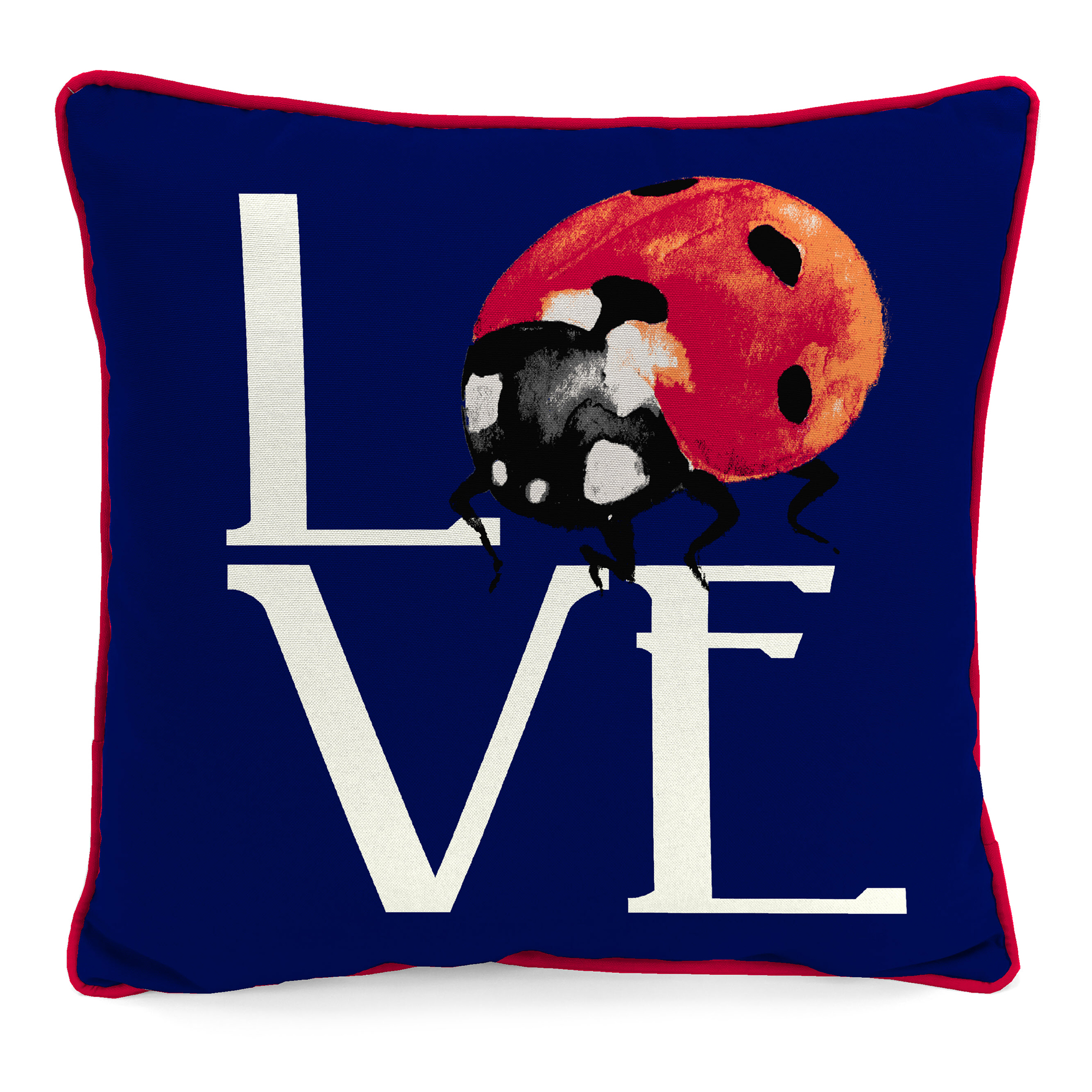 New Outdoor Throw Pillow with Welt 16" x 16", Fade Stain Resistant, Easy Clean - Picture 24 of 30