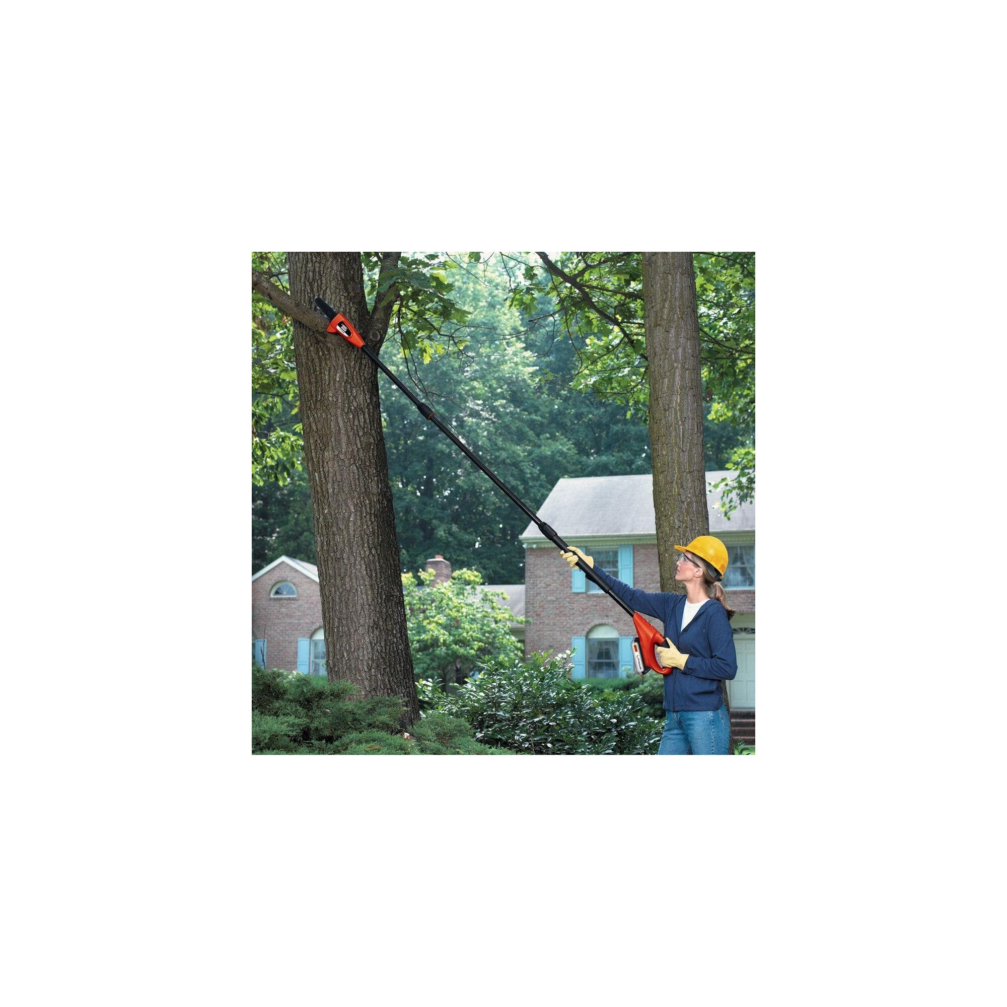 Lithium pole pruning saw being used to cut branches from a tree.
