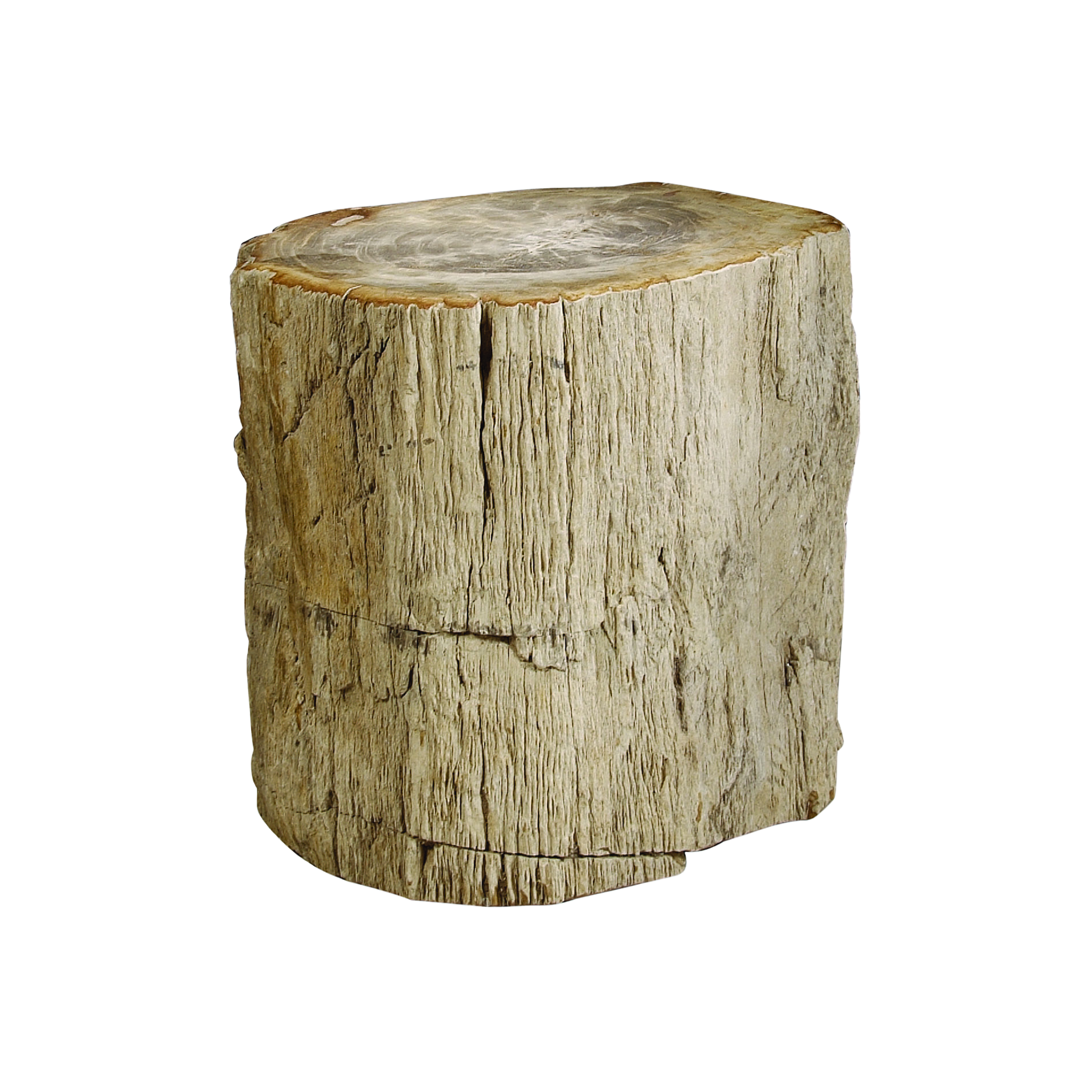 Picture of PETRIFIED ACCENT TABLE