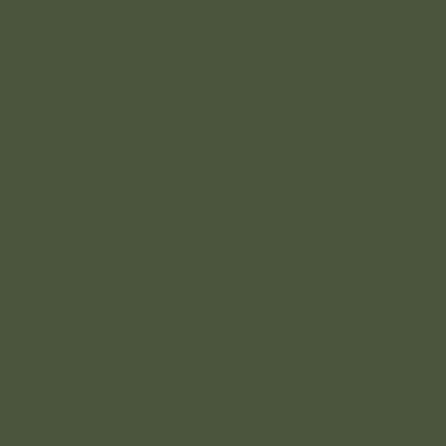 OLIVE(OLV)