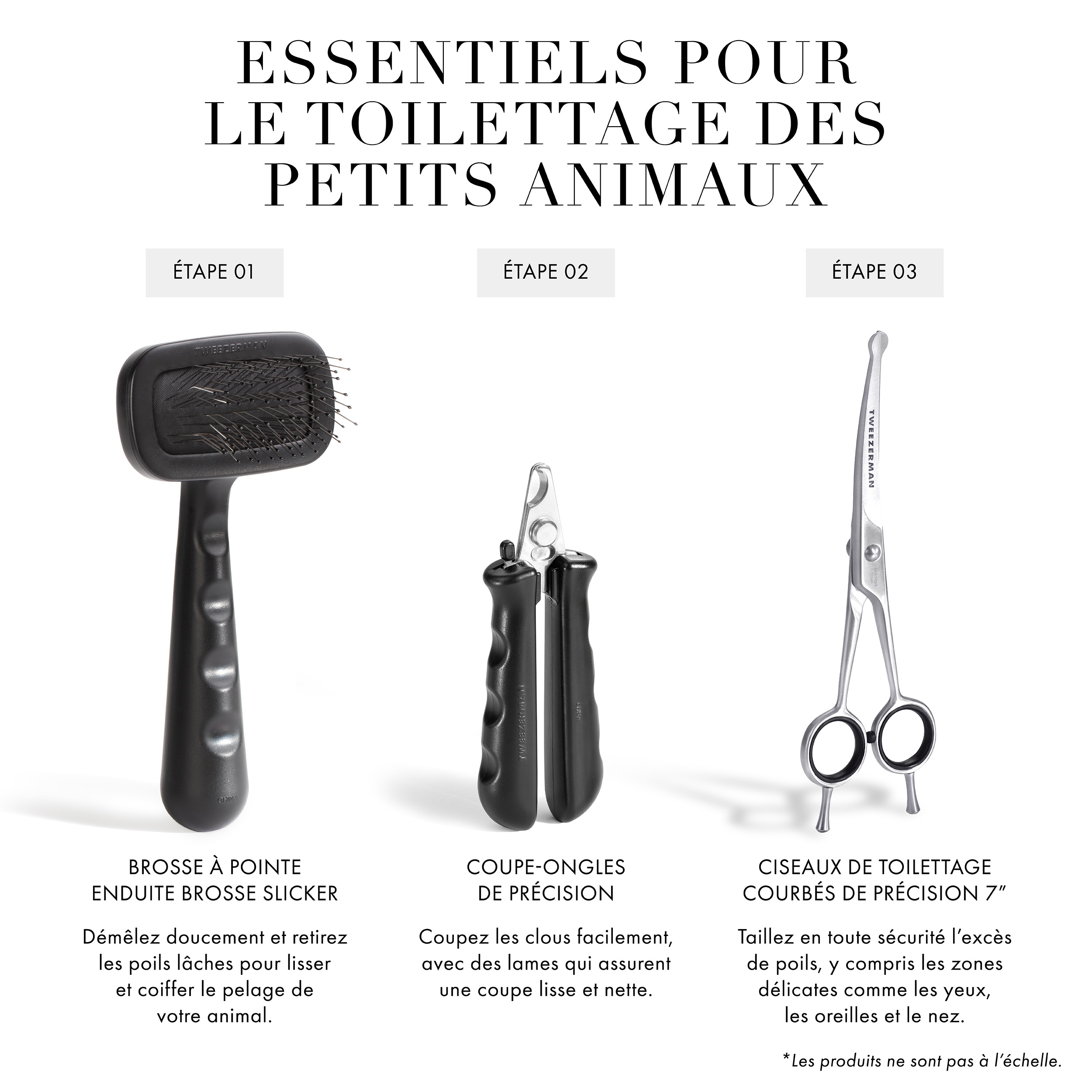 Essentiels pour le toilettage des petits animaux : Étape 1 Brosse de bain 2-en-1 pour shampooing et distribution : Le design à une main permet de nettoyer et de laver en profondeur la saleté du pelage de votre animal. Étape 2 Coupe-ongles de précision : Coupez les ongles facilement, avec des lames qui assurent une coupe lisse et nette. Étape 3 Brosse Slicker à pointe enduite : Démêlez doucement et retirez les poils lâches pour lisser et coiffer le pelage de votre animal. *Les produits ne sont pas à l’échelle.