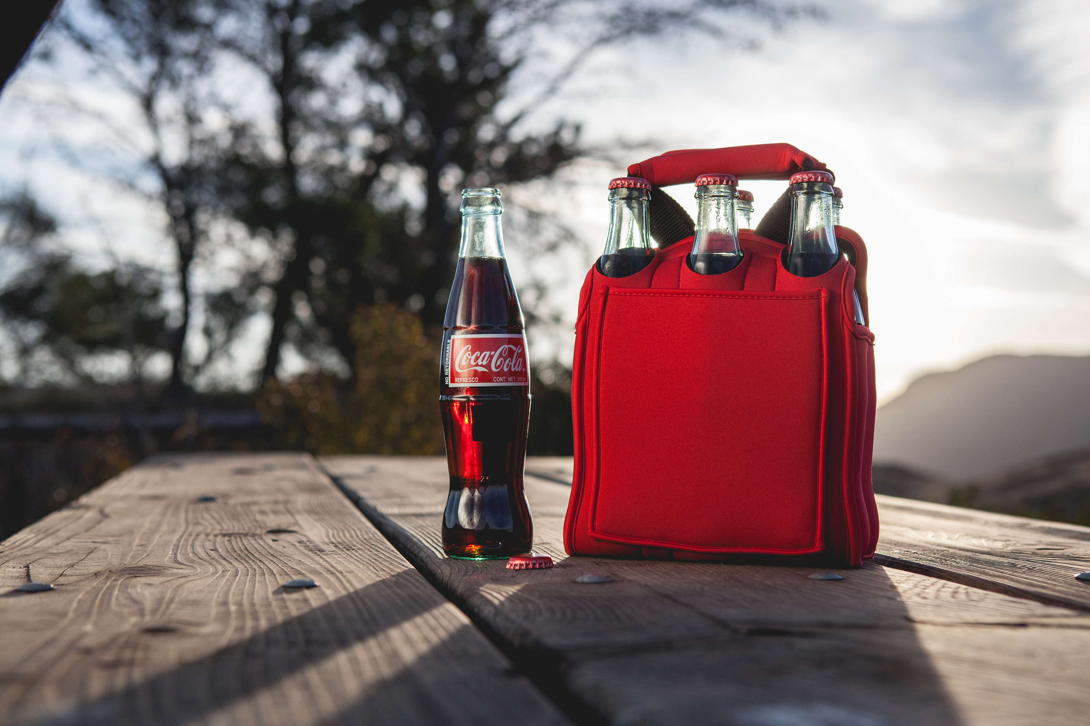 Coca-Cola - Six Pack Beverage Carrier