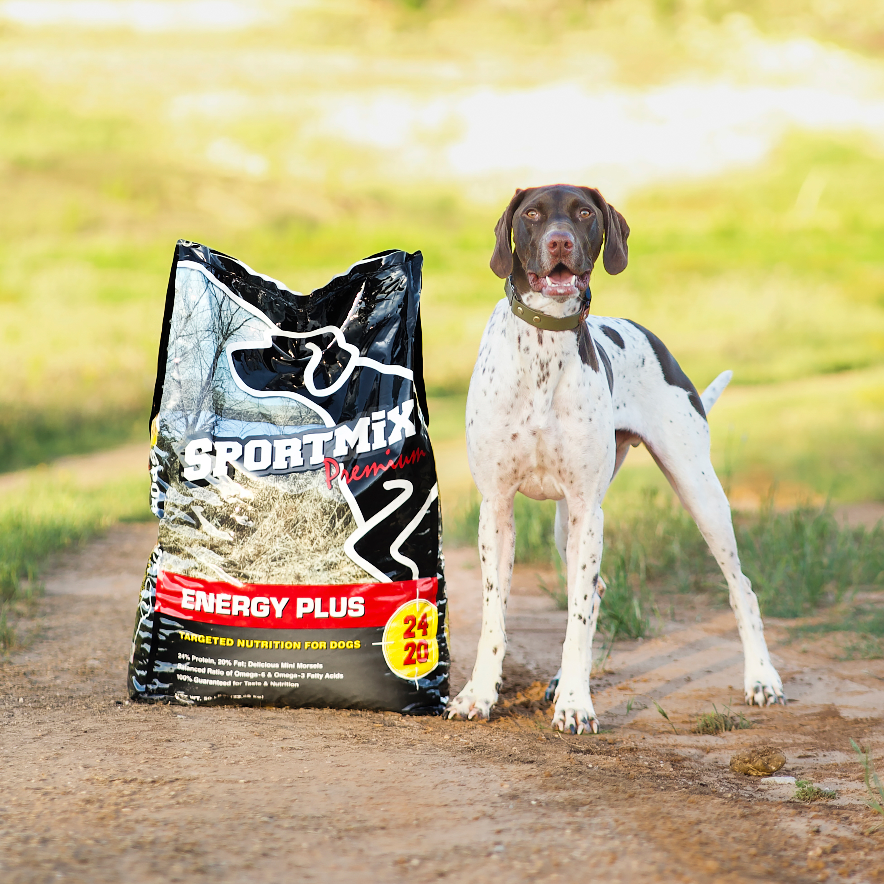 Photo of Product Bag