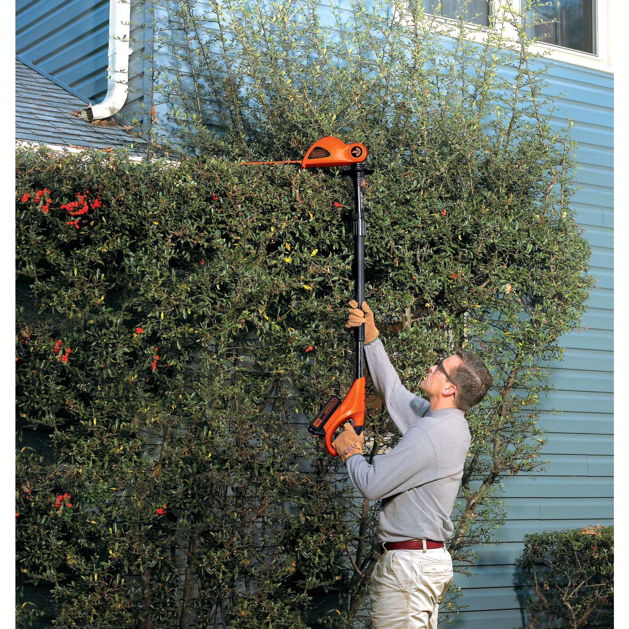 20 volt MAX Lithium Pole Hedge Trimmer being used by a person on hedges.