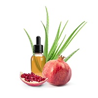 Botanical Blend