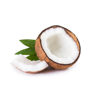 Coconut Fragrance