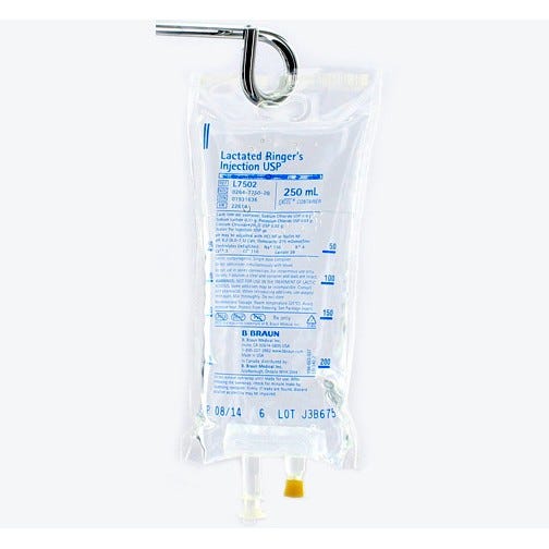 Lactated Ringer's 250ml Plastic Bag  for Injection - 24/Case