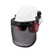 Radians Ratchet Loggers Combo