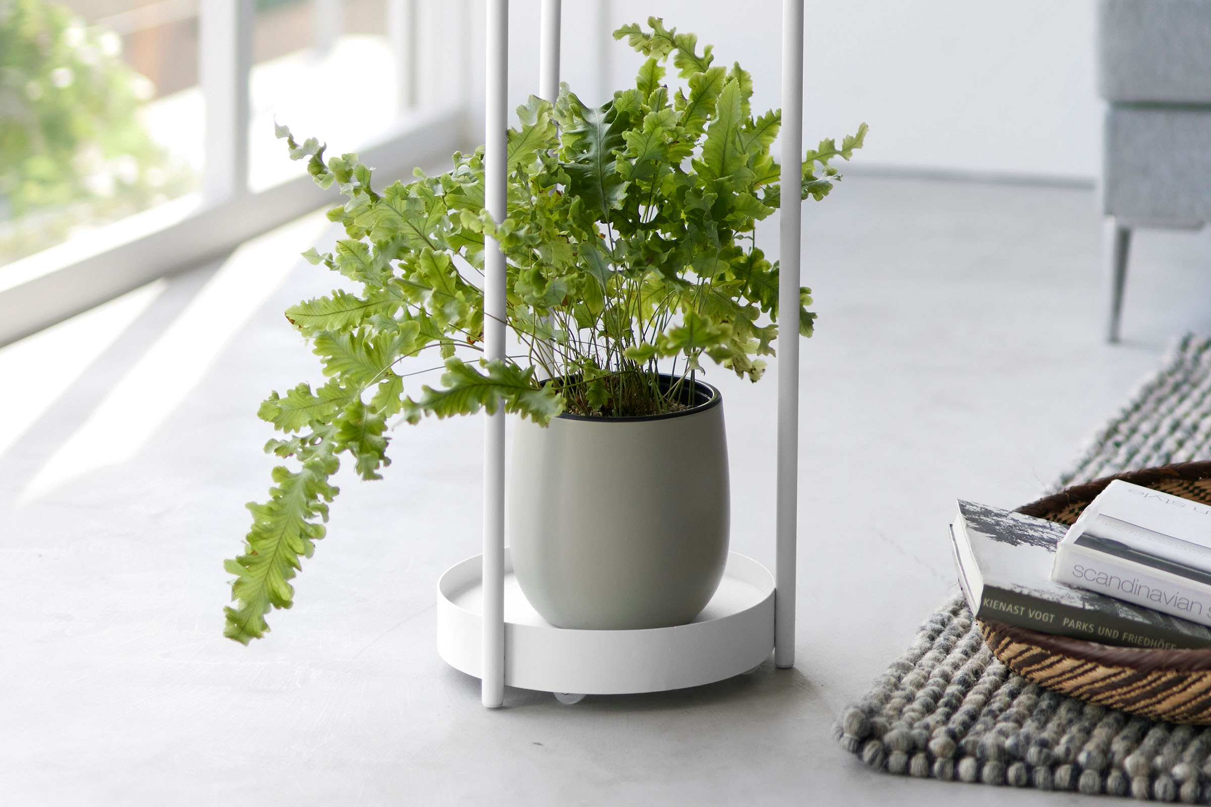 Two-level white stand on casters. Shelfs are round in shape with three supports on the outer edge. Close-up shot of the bottom shelf housing a medium sized plant.