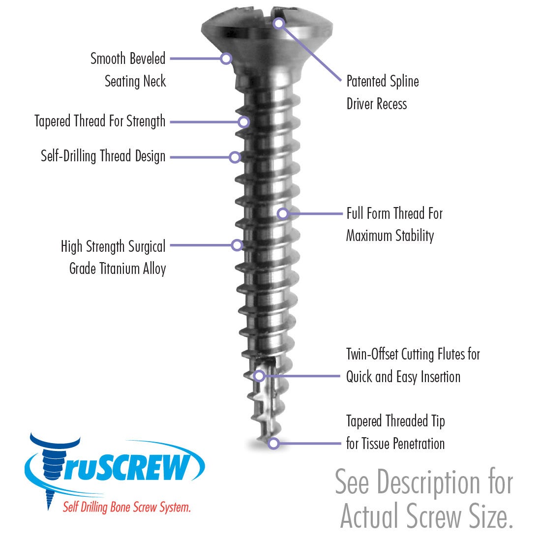 truSCREW  3mm Head Diameter, 2.0 Thread Diameter, 6mm Length