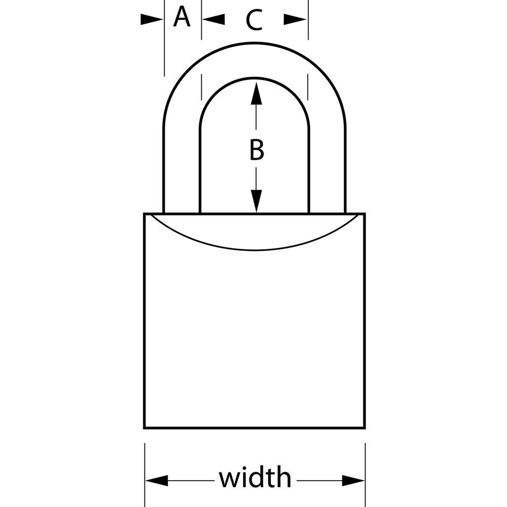 Immagine schematica