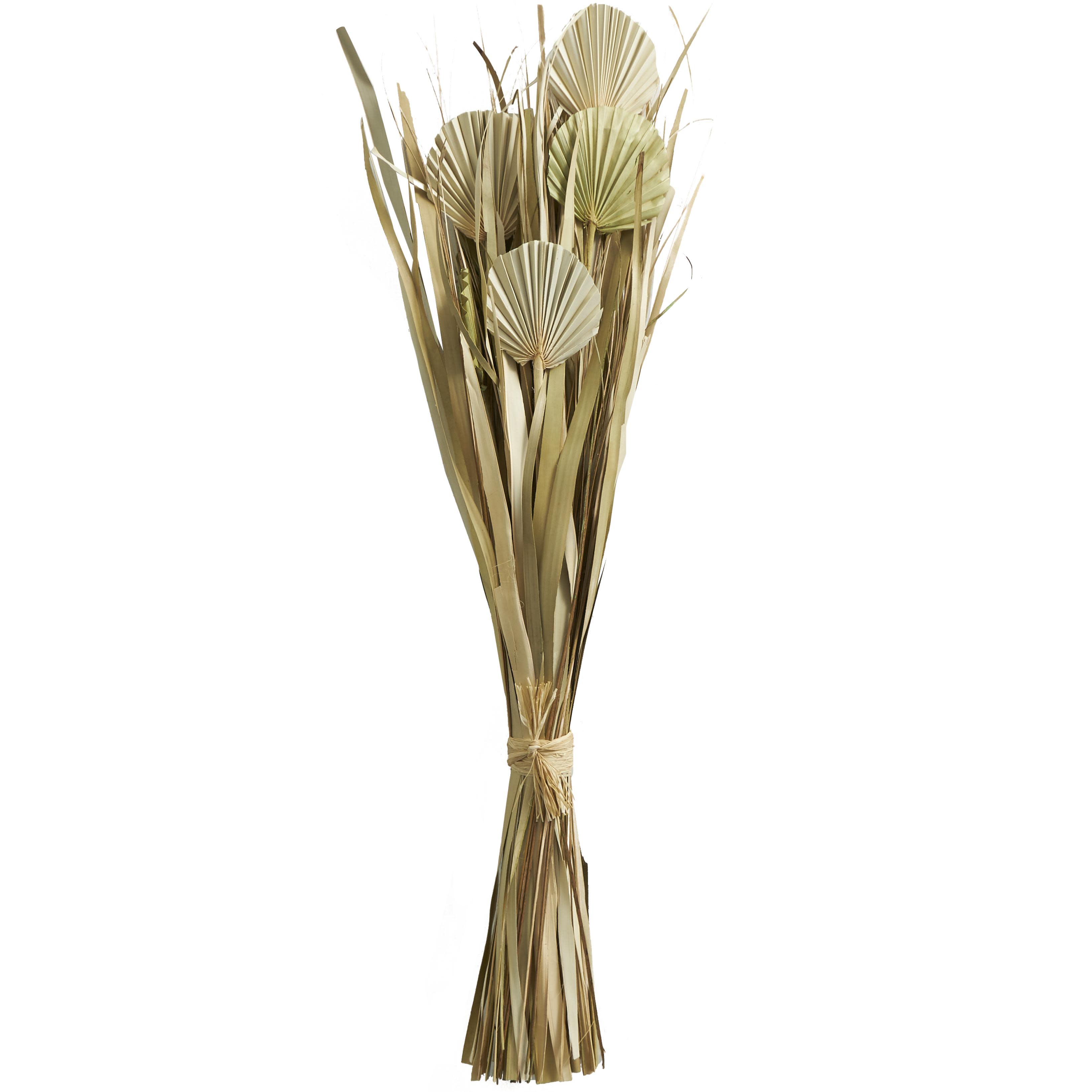 Green Dried Plant Grass Handmade Tall Bouquet Home Decor Natural Foliage with Fan Palm Leaves, 13" x 8" x 40"
