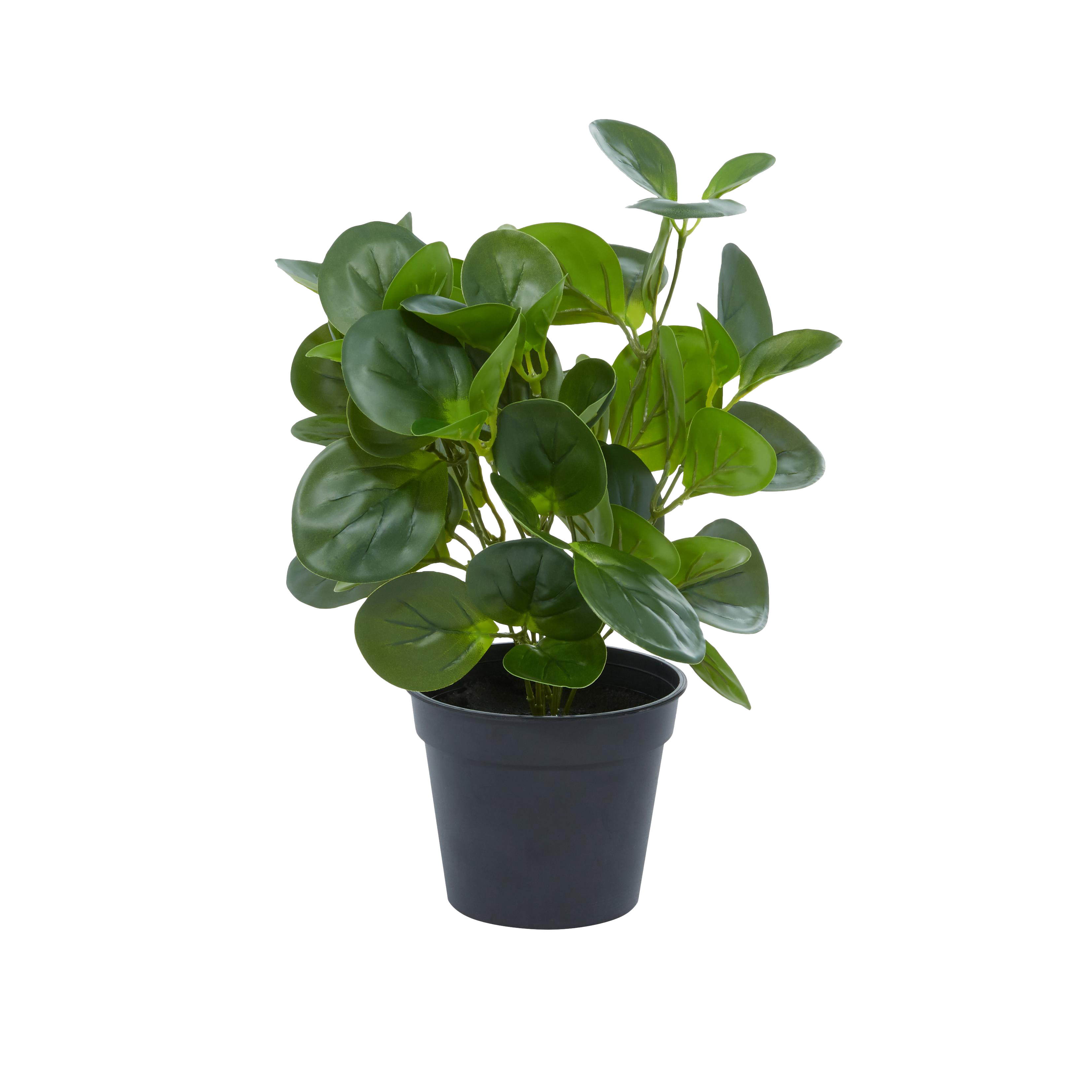 Green Faux Foliage Eucalyptus Indoor Outdoor Artificial Plant with Realistic Leaves and Black Round Pot, 10" x 7" x 13"
